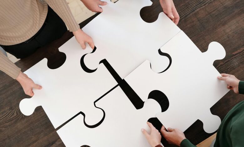 agile organization development strategies