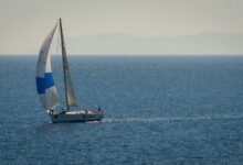 competitive market navigation strategies