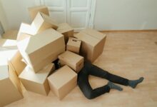 organizational change navigation strategies