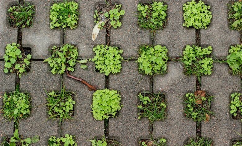 sustainable growth design principles