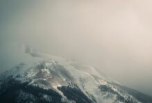 aarya editz presets available