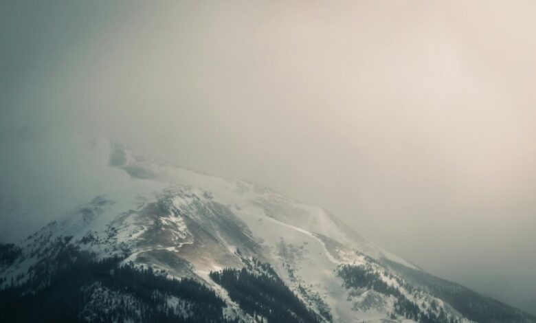 aarya editz presets available