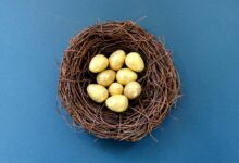 barwala egg rate updates