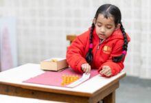 educational initiative in punjab