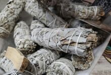 sagethumbs image sharing tool