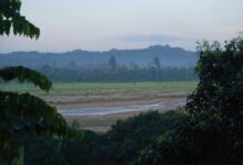 tulsi morning chart analysis