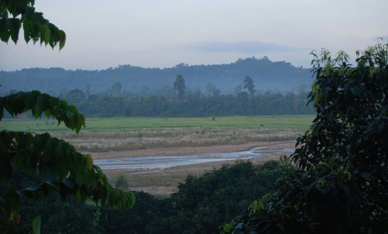 tulsi morning chart analysis