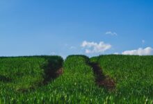 horizon gateway start growth