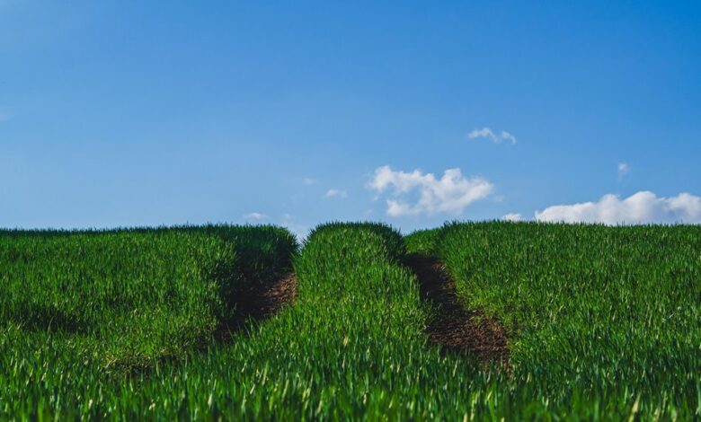 horizon gateway start growth