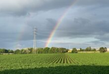 infinite arc starts unlocking market horizons