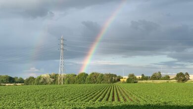 infinite arc starts unlocking market horizons