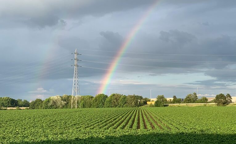 infinite arc starts unlocking market horizons