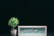 momentum arc start driving next level innovation